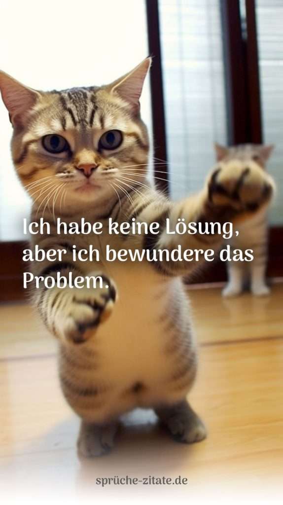 katze lustig witzig spruch lösung problem happy haha