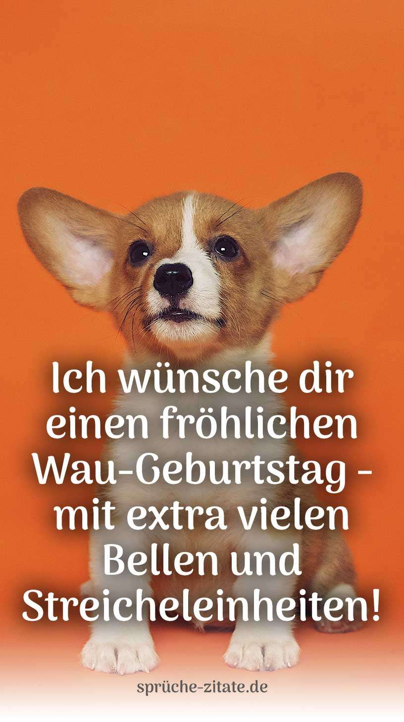 Geburtstagswunsch Geburtstagsgruß Hund Hunde Hündin Kostenlos Bild WhatsApp Versenden Teilen Social Media Instagram japanischer hund bebop cowboy