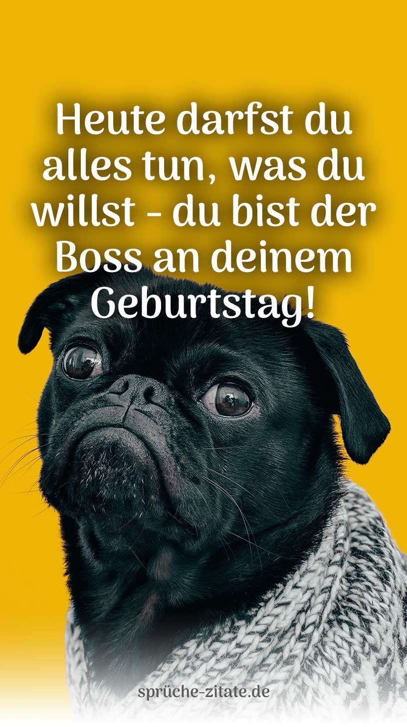 Geburtstagswunsch Geburtstagsgruß Hund Hunde Hündin Kostenlos Bild WhatsApp Versenden Teilen Social Media Instagram mops glubschaugen lustig funny dumm