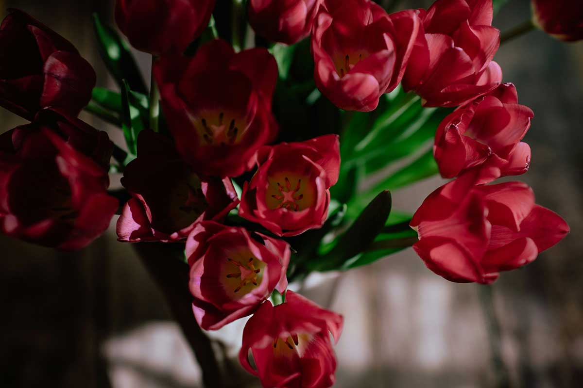 Freude teilen 44. Geburtstag