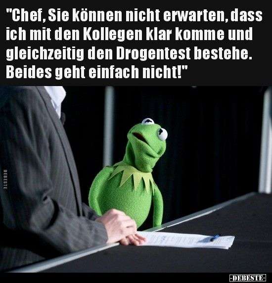 Kermit Chef Kollegen Lustig Montag Wochenende Spruch