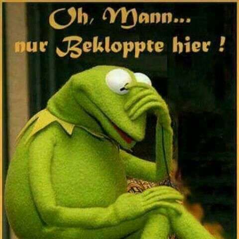 kermit der frosch sprüche lustig
