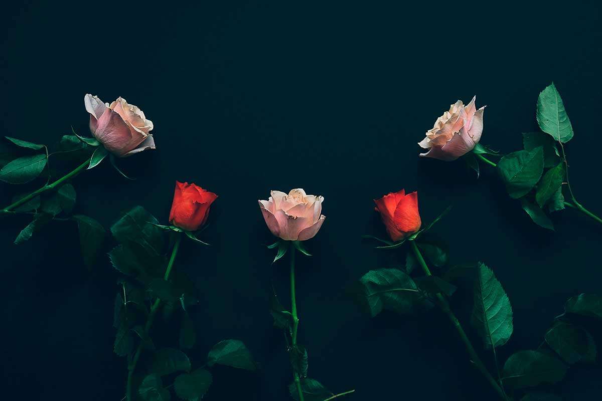 Vermissen Sprüche kurz