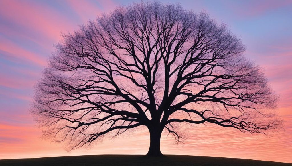 mittwochs grüße mittwochs grüße