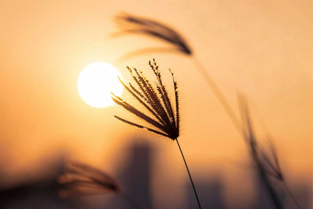 Wozu schöne Sprüche speichern und teilen?