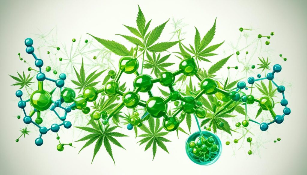 CBD Öl Inhaltsstoffe CBD Öl Inhaltsstoffe