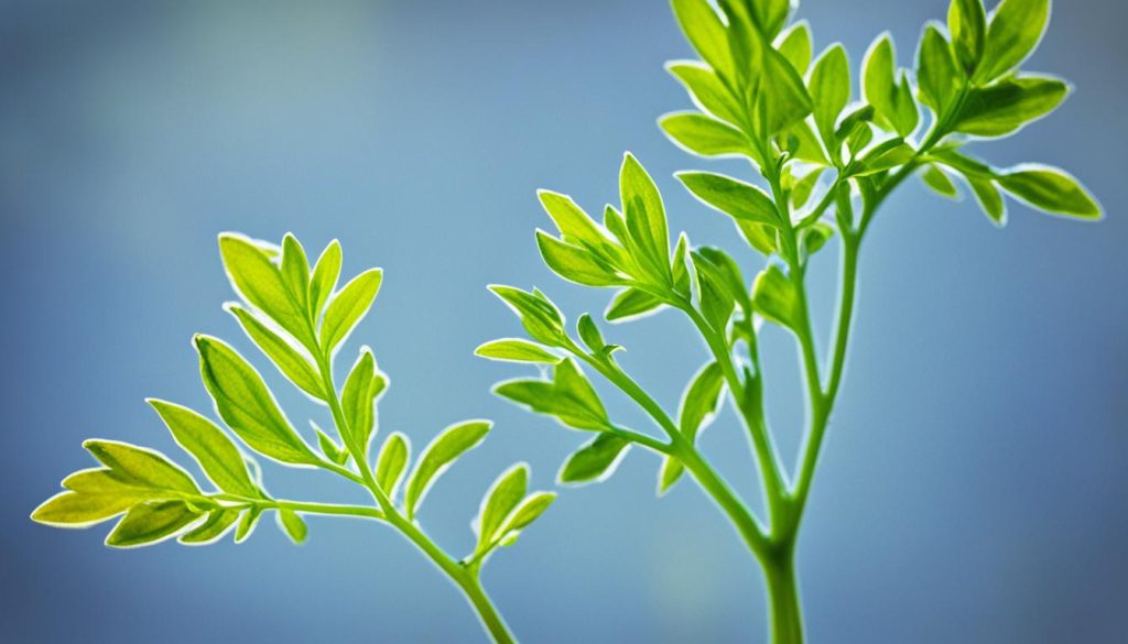 Kaliummangel Diagnose Kaliummangel Diagnose