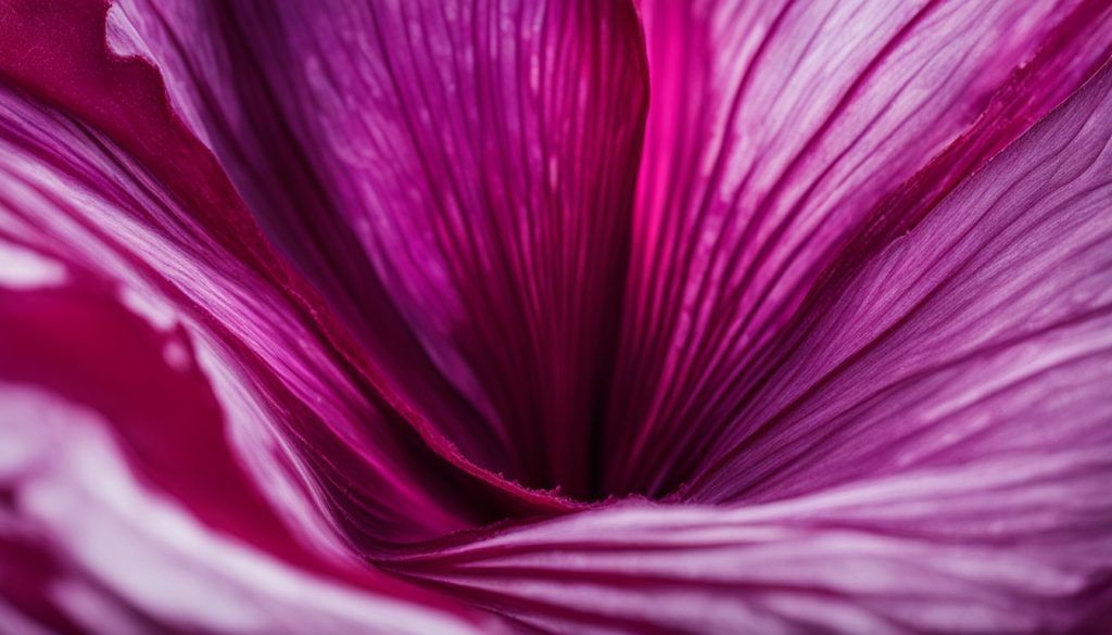 Rote Beete Saft Gesundheitsvorteile Rote Beete Saft Gesundheitsvorteile